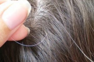 وصفة زيت الخردل للتخلص من الشعر الأبيض