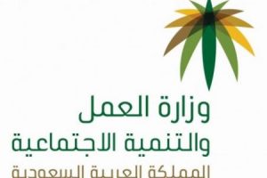 وزارة العمل السعودية تعلن عن مزايا برنامج حماية الأجور 1439 للعمالة المنزلية